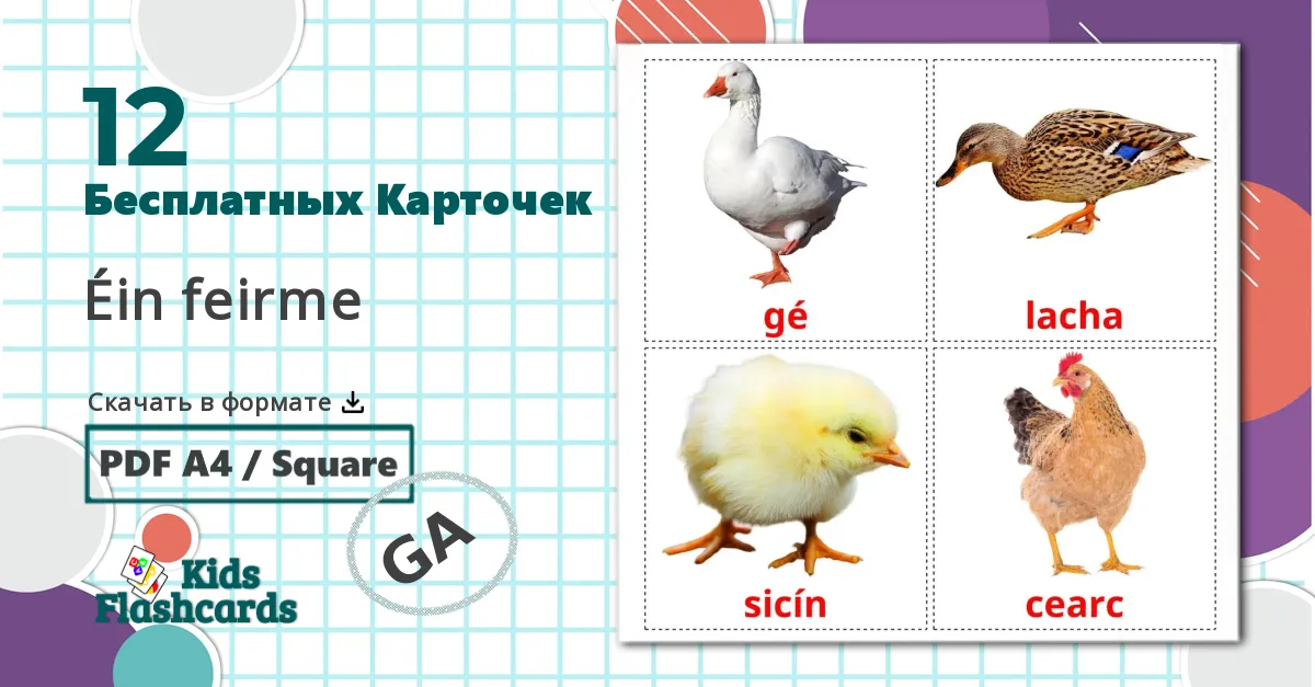12 Птицы в деревне bildekort