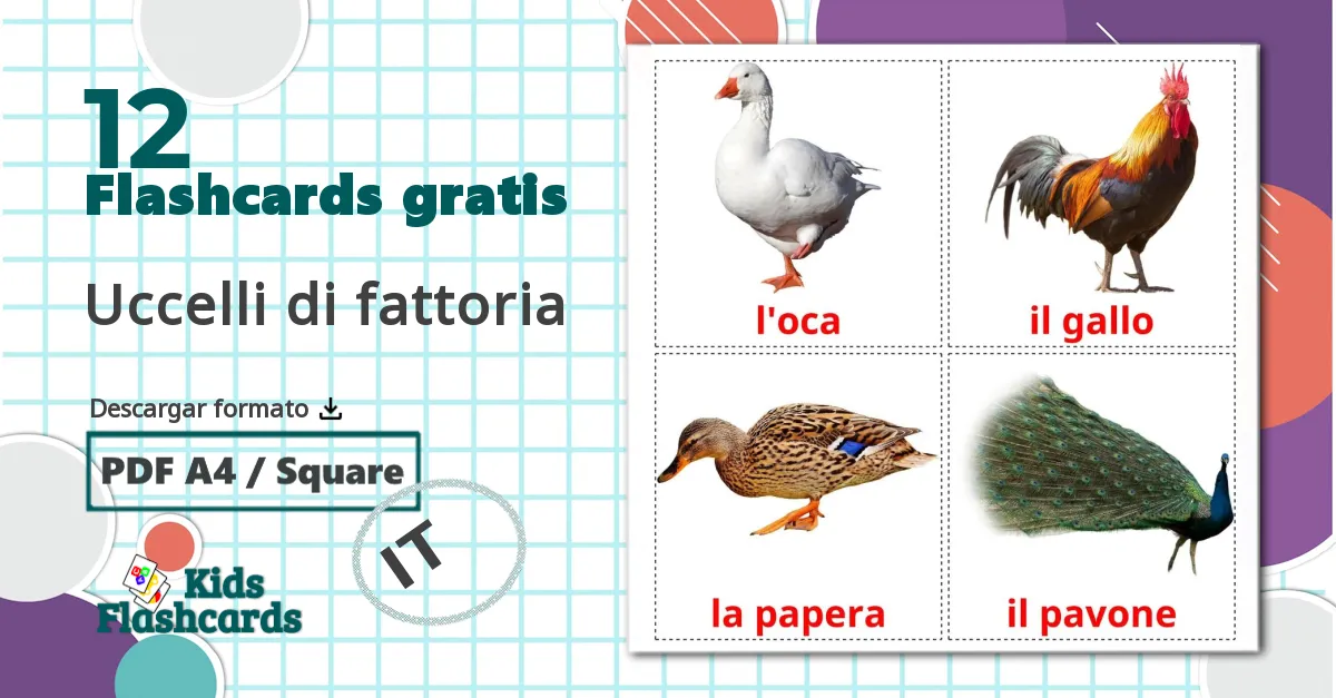 12 tarjetas didacticas de Uccelli di fattoria