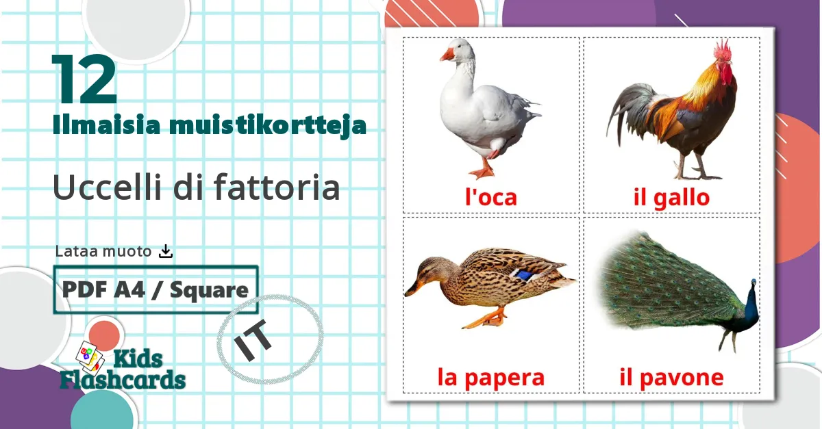 12 Uccelli di fattoria lasten kuvakortit