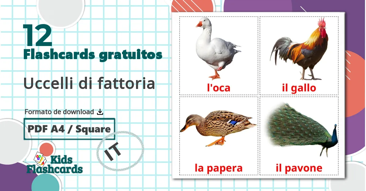 12 Flashcards de Aves da Quinta