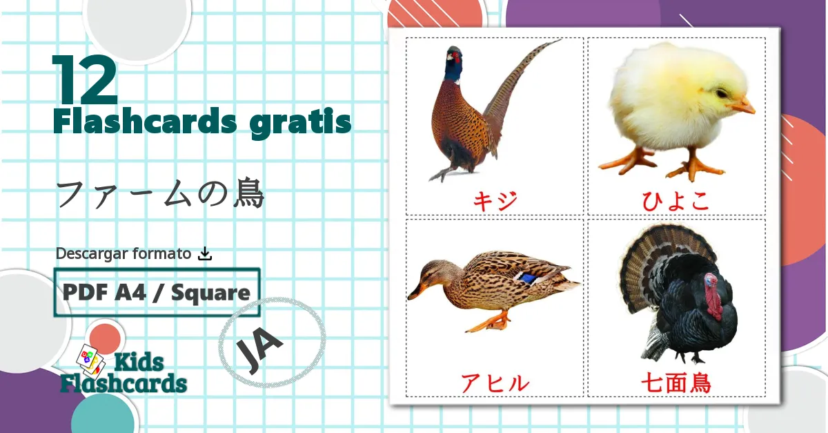 12 tarjetas didacticas de ファームの鳥