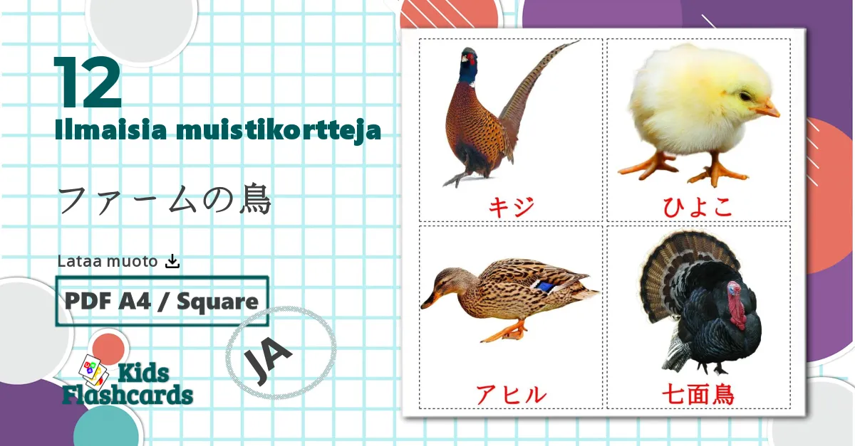 12 ファームの鳥 lasten kuvakortit