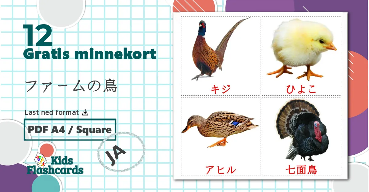 12 ファームの鳥 bildekort