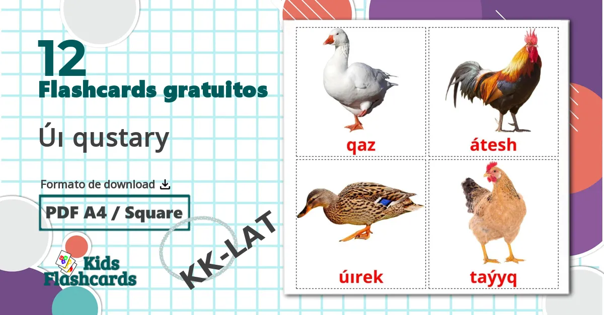 12 Flashcards de Úı qustary