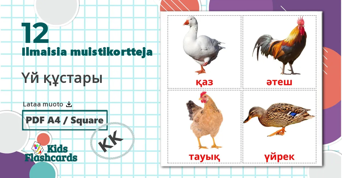 12 Үй құстары  lasten kuvakortit
