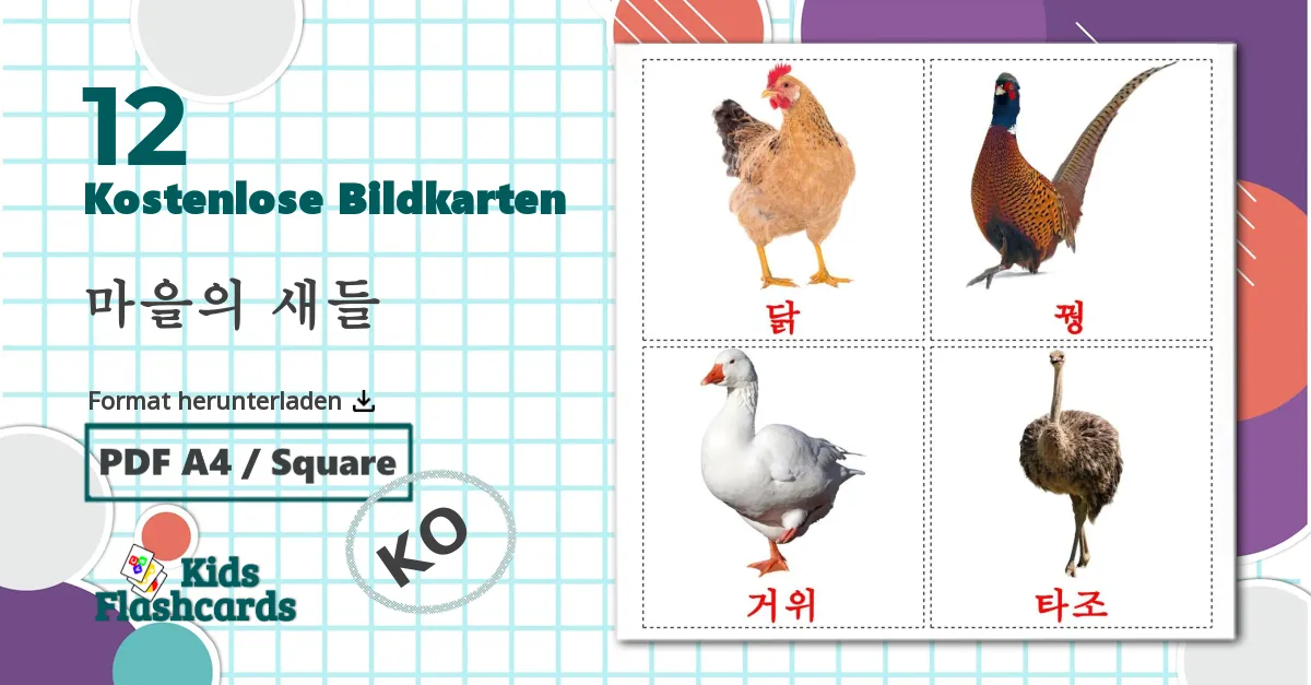 12 Bildkarten für 마을의 새들