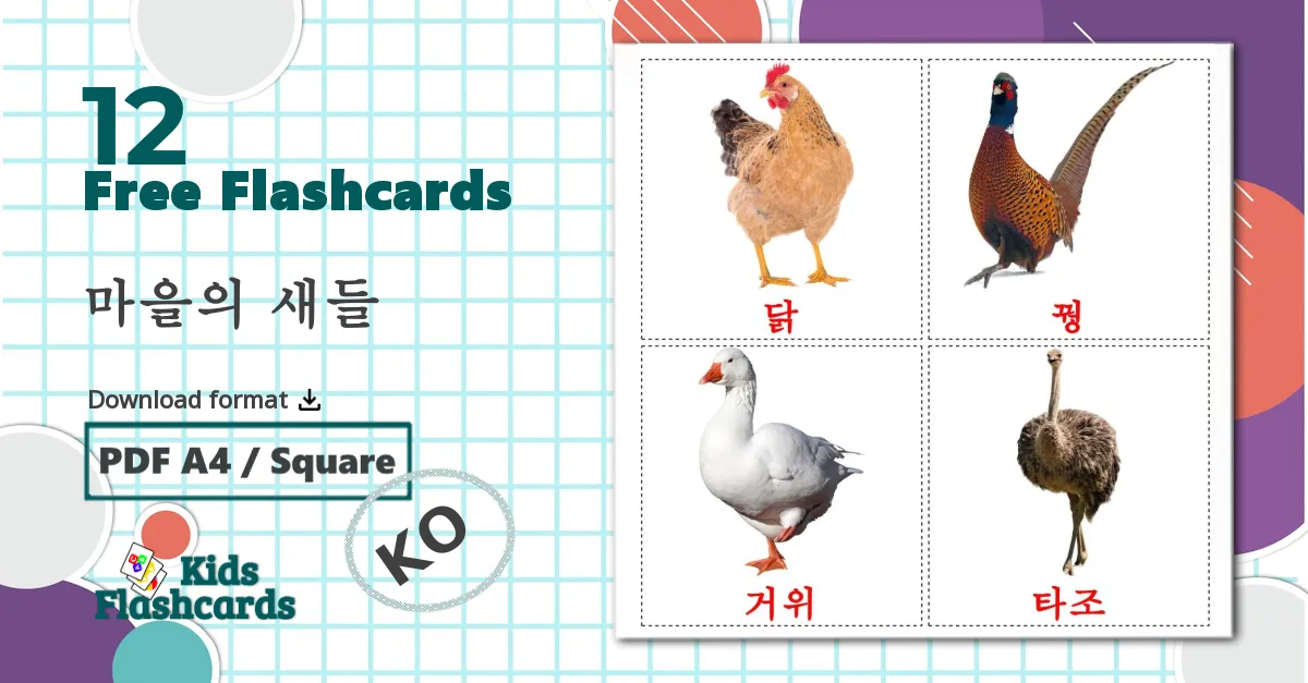 12 마을의 새들 flashcards