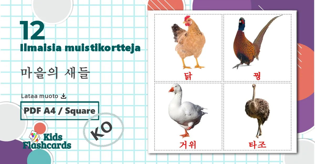 14 Maatila linnut lasten kuvakortit