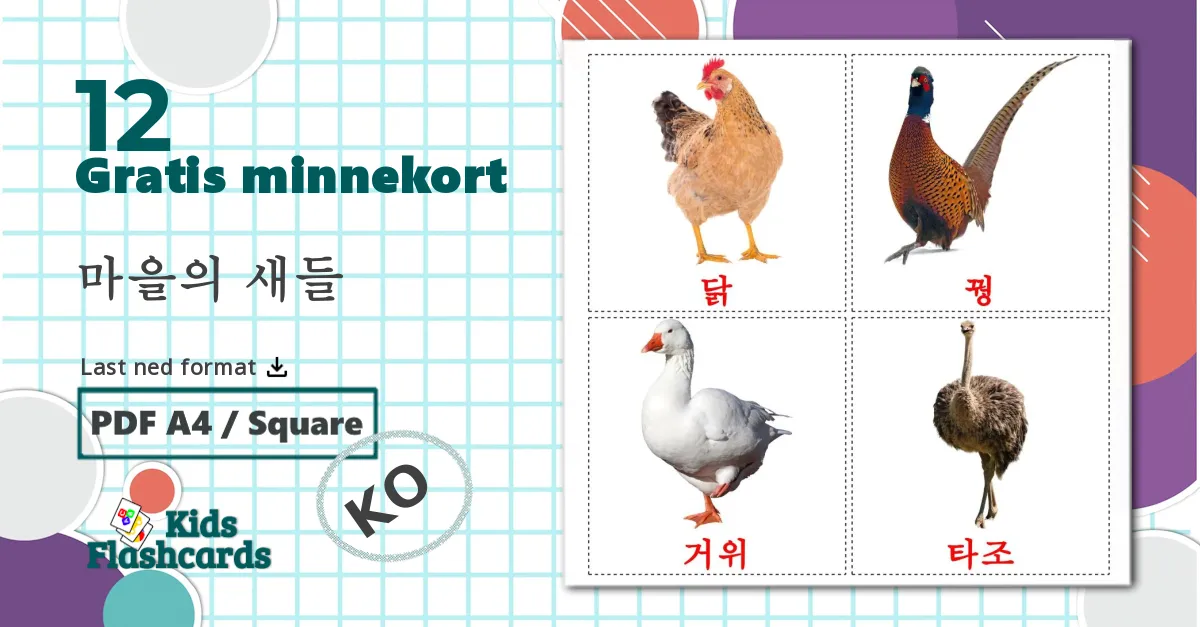 12 마을의 새들 bildekort