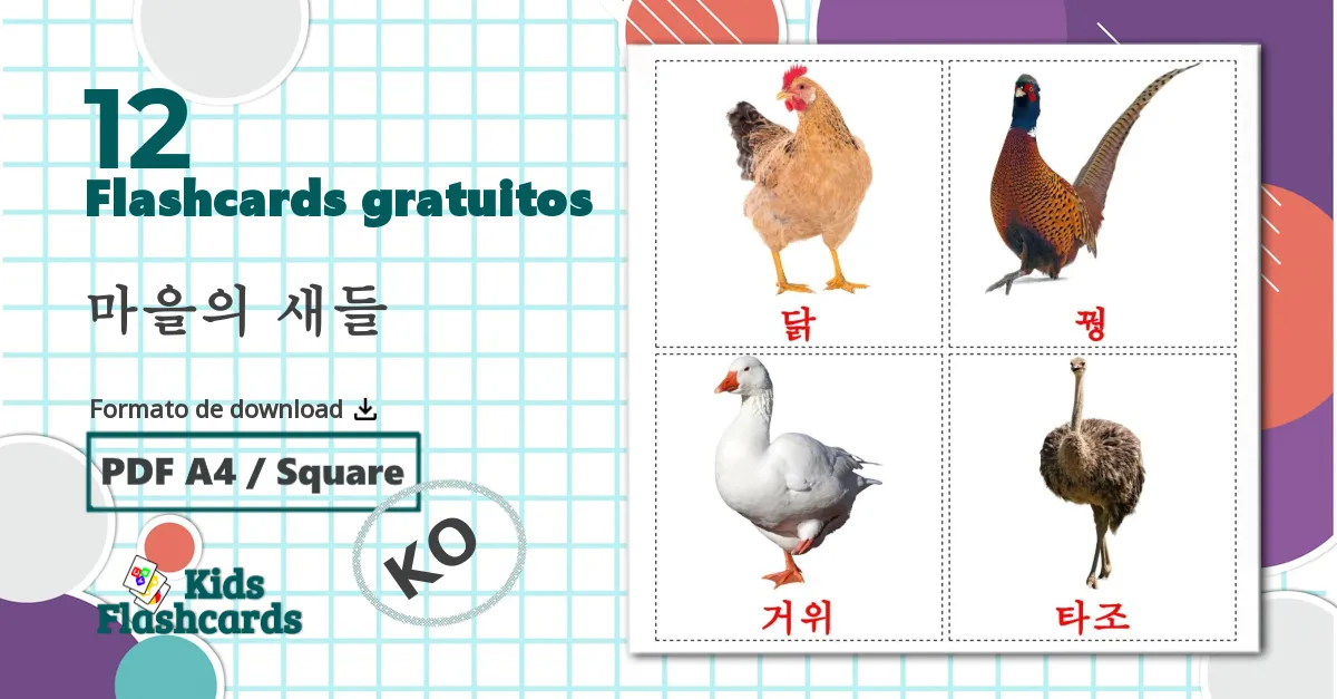 12 Flashcards de Aves da Quinta