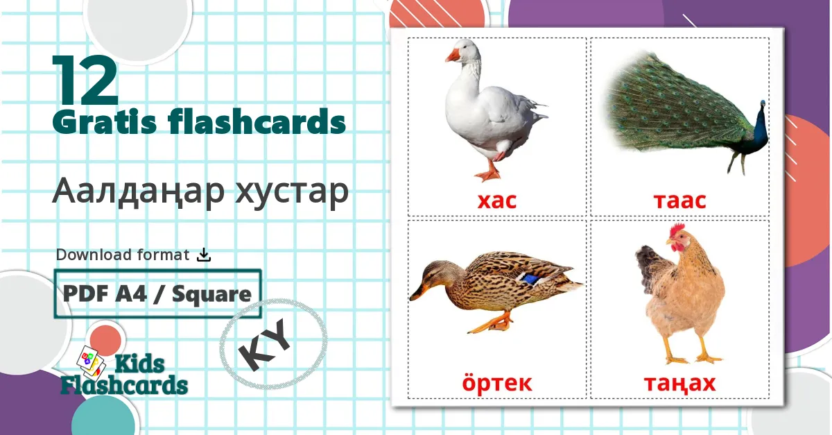 12 Аалдаңар хустар  billedkort for børn