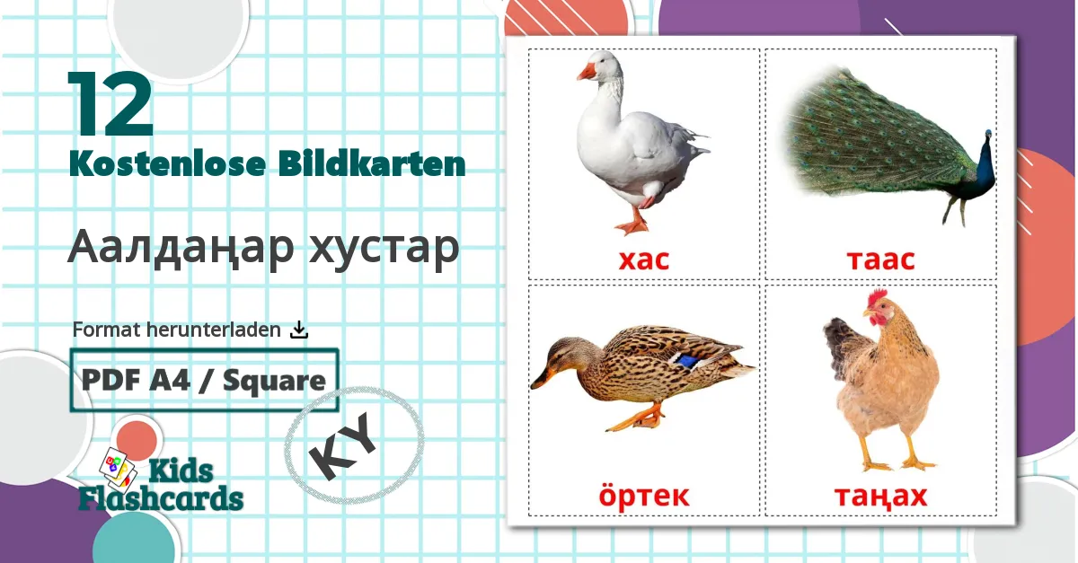 12 Bildkarten für Аалдаңар хустар