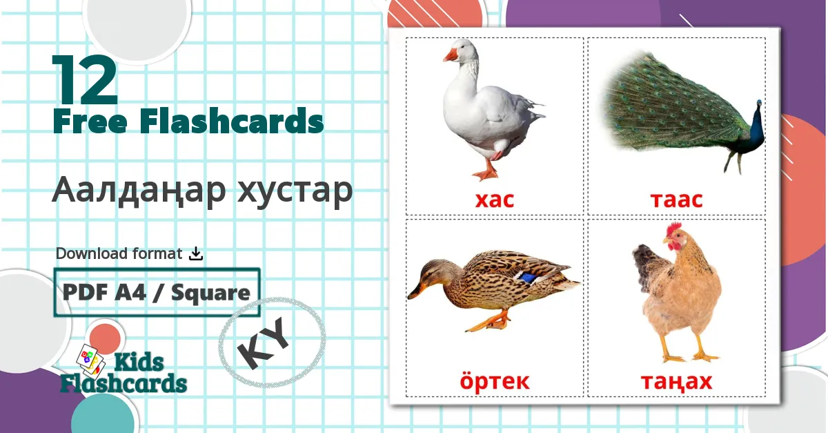 12 Аалдаңар хустар  flashcards