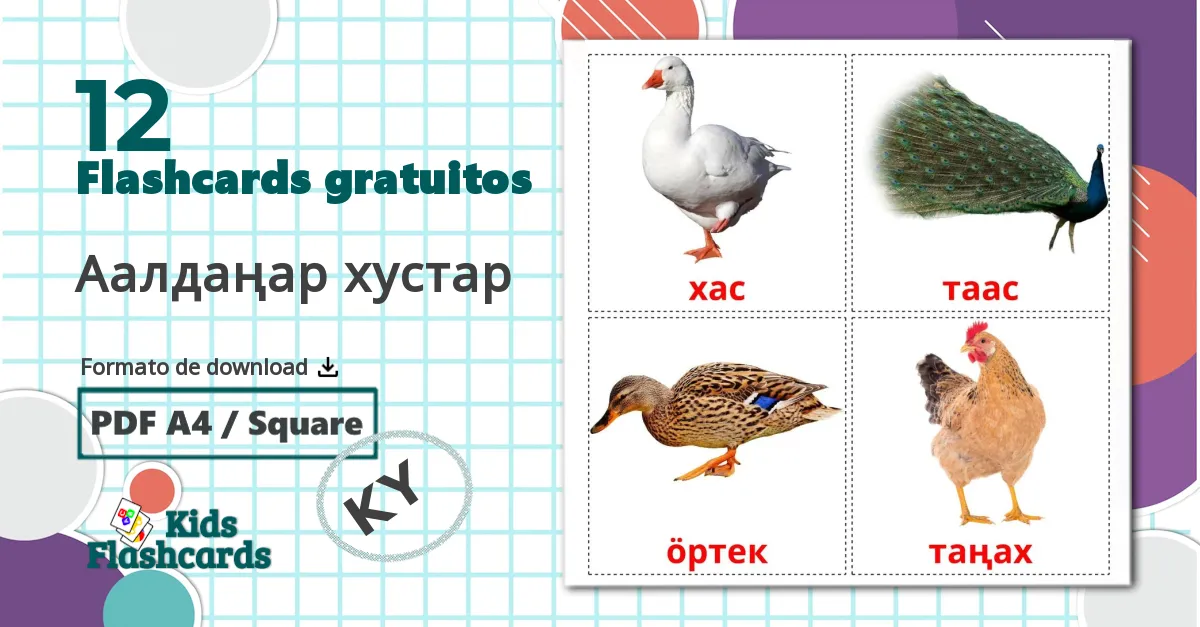 12 Flashcards de Aves da Quinta