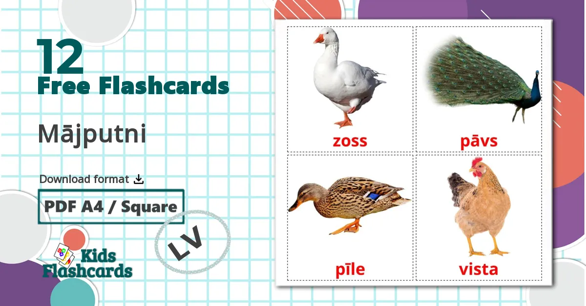 12 Farm birds flashcards