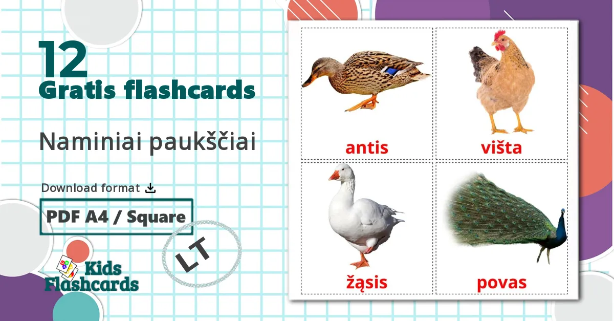 12 Naminiai paukščiai  billedkort for børn