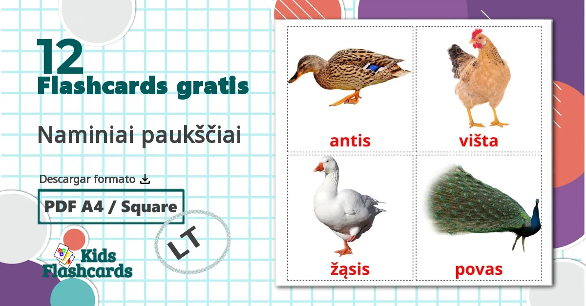 12 tarjetas didacticas de Aves de granja