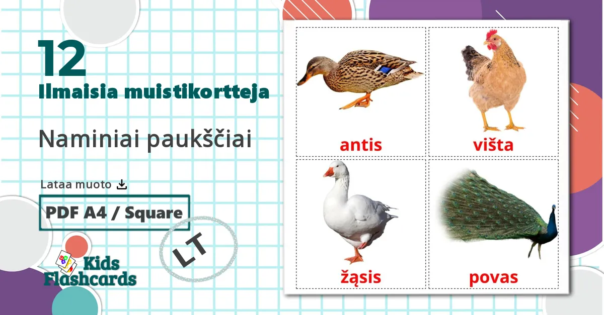 12 Naminiai paukščiai  lasten kuvakortit