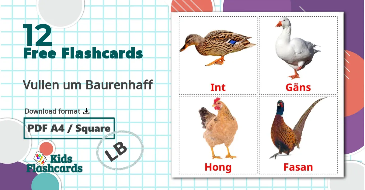 12 Vullen um Baurenhaff flashcards