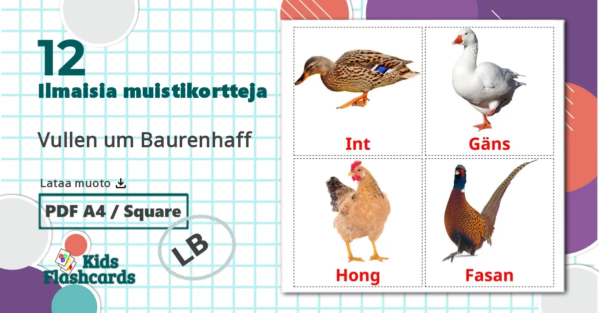 12 Vullen um Baurenhaff lasten kuvakortit