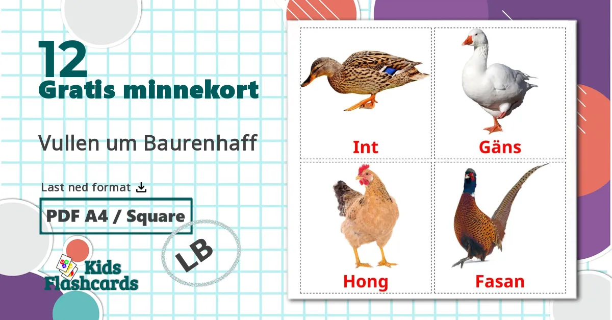 12 Vullen um Baurenhaff bildekort