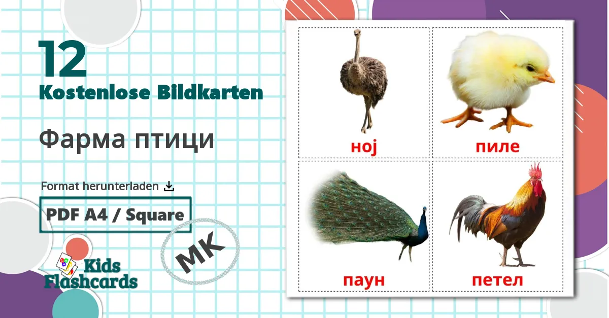 12 Bildkarten für Фарма птици