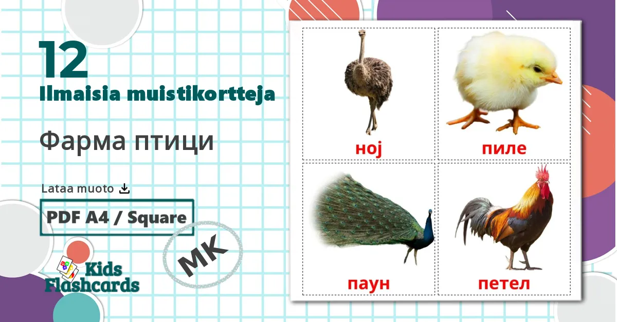 12 Фарма птици  lasten kuvakortit