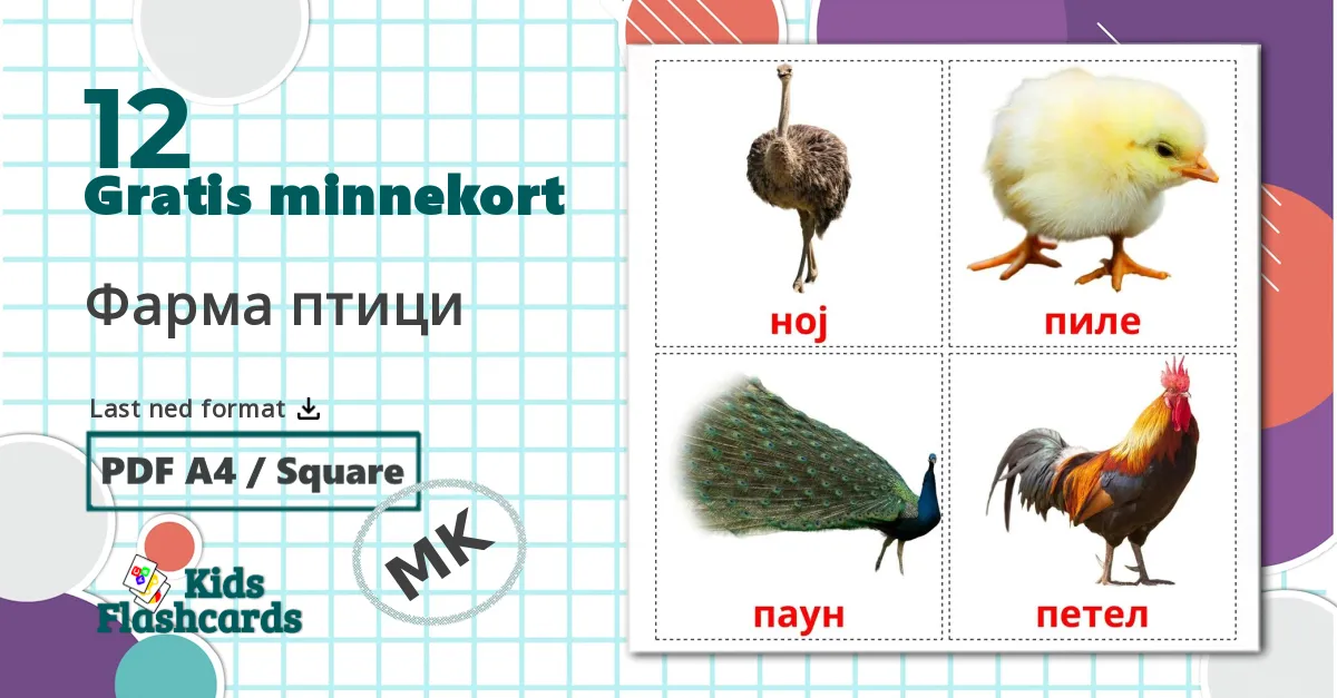 12 Фарма птици  bildekort