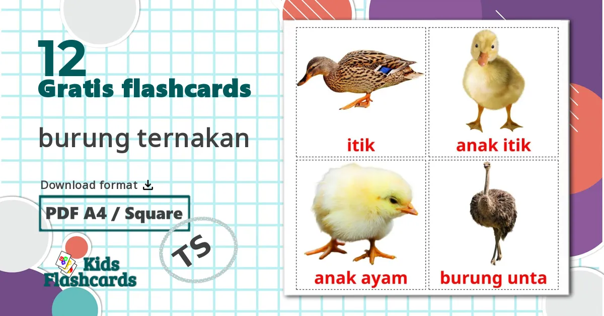 12 burung ternakan billedkort for børn