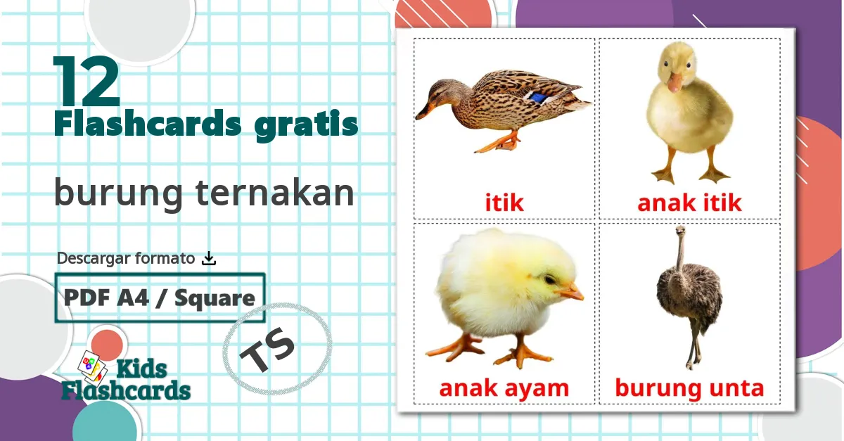 12 tarjetas didacticas de burung ternakan