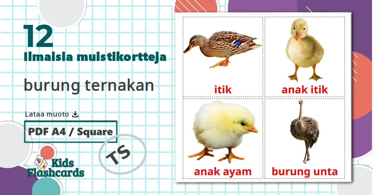 12 burung ternakan lasten kuvakortit