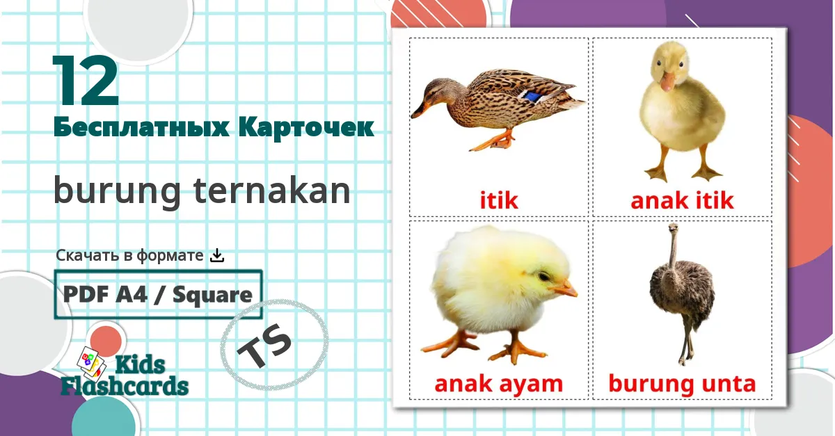 12 Карточки Домана burung ternakan