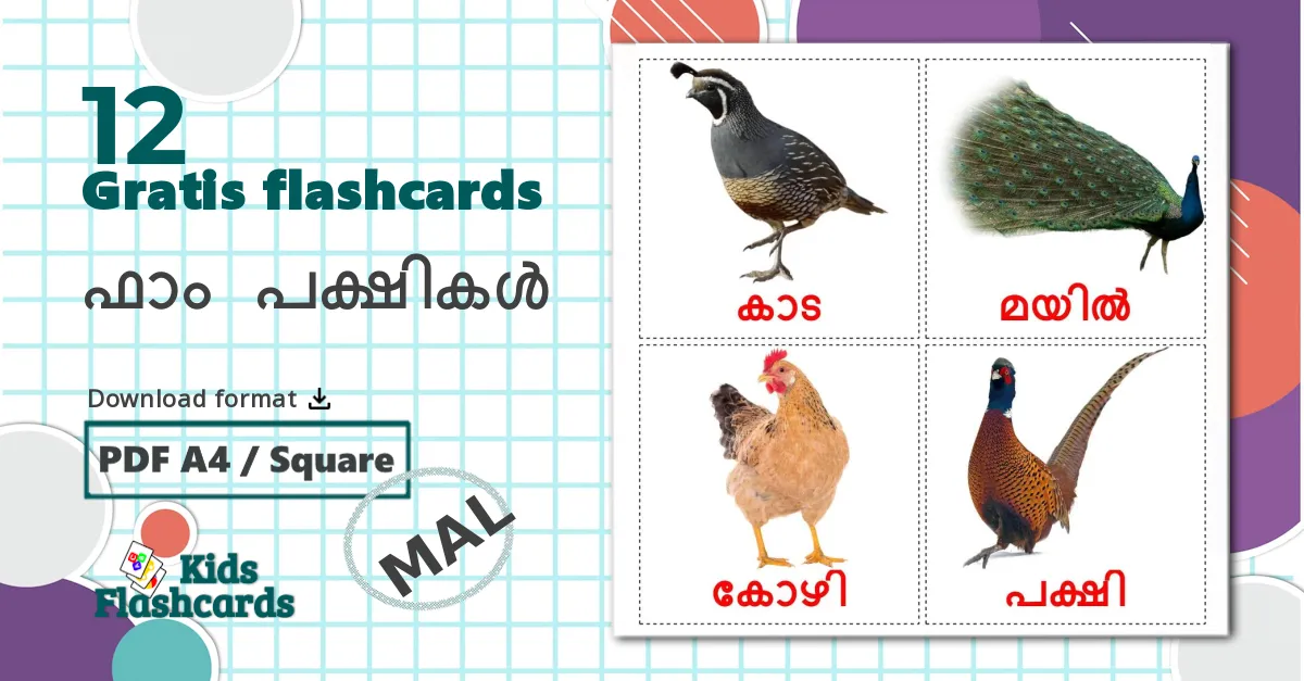 12 ഫാം പക്ഷികൾ billedkort for børn
