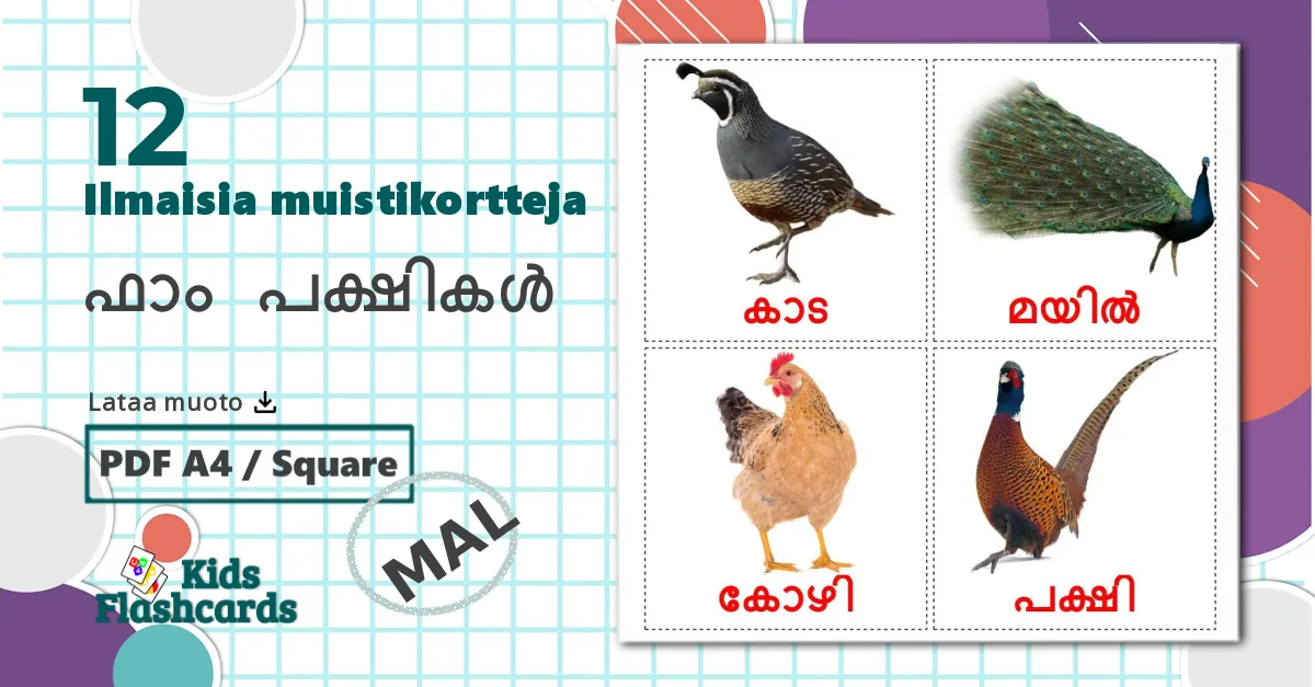 12 ഫാം പക്ഷികൾ lasten kuvakortit