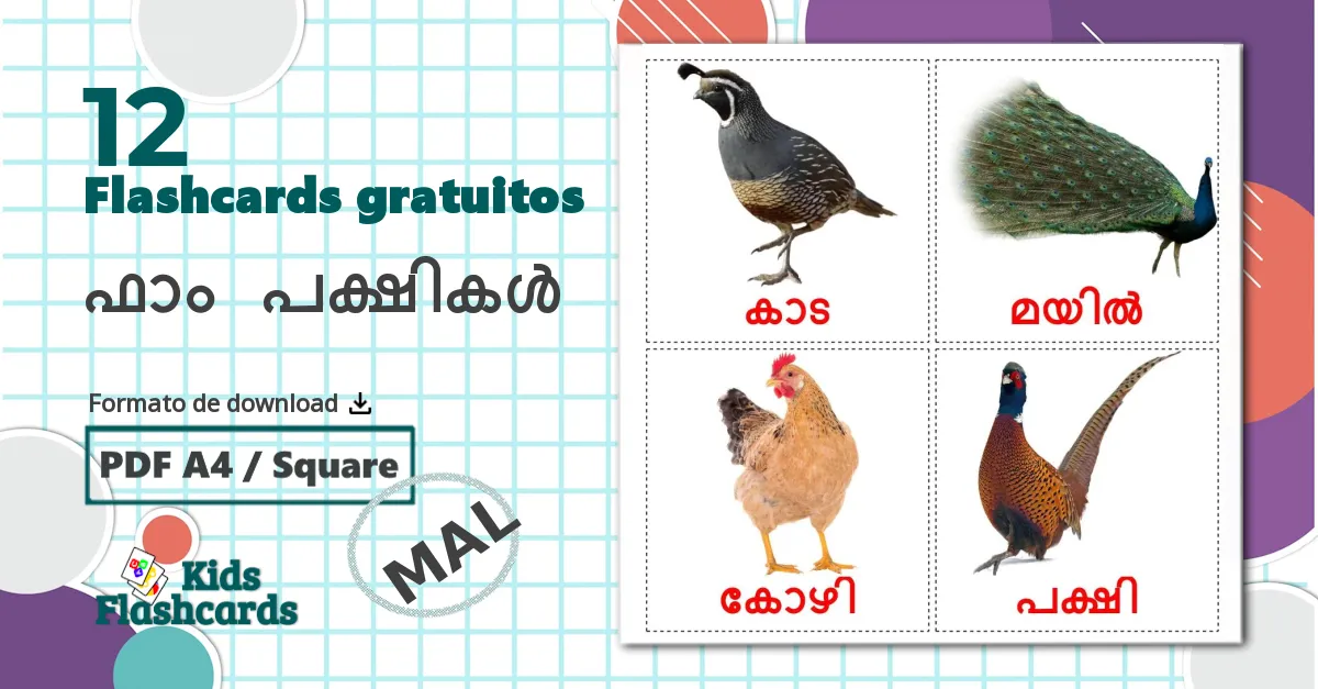 12 Flashcards de ഫാം പക്ഷികൾ