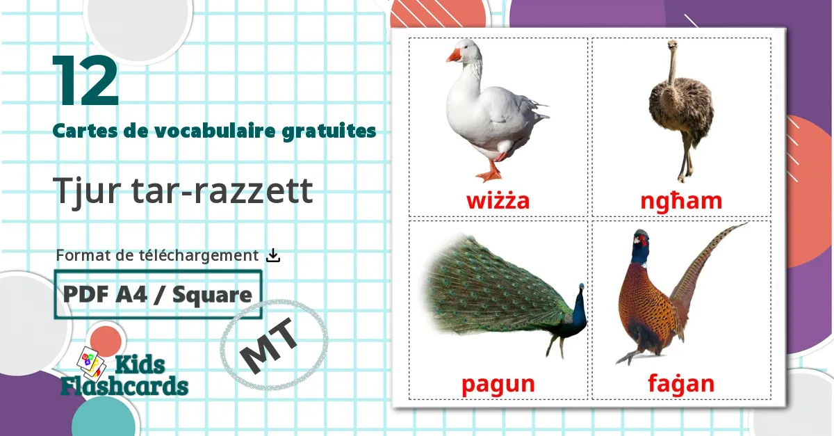 12 Imagiers Tjur tar-razzett