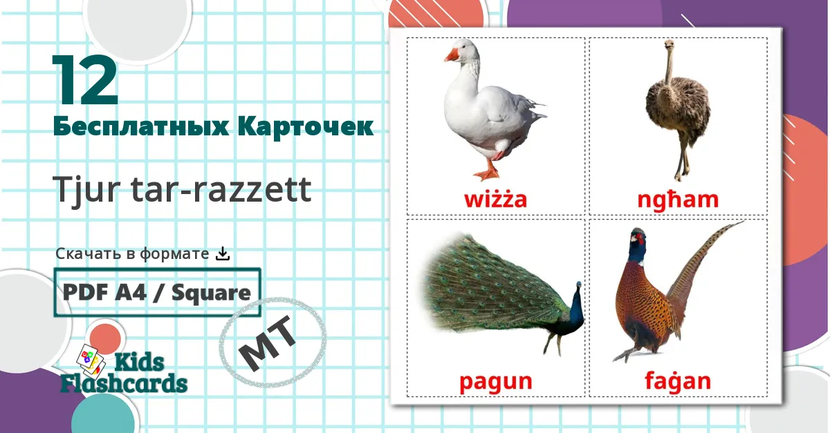 12 Карточки Домана Птицы в деревне