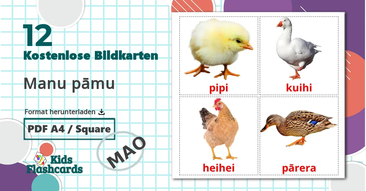 12 Bildkarten für Manu pāmu