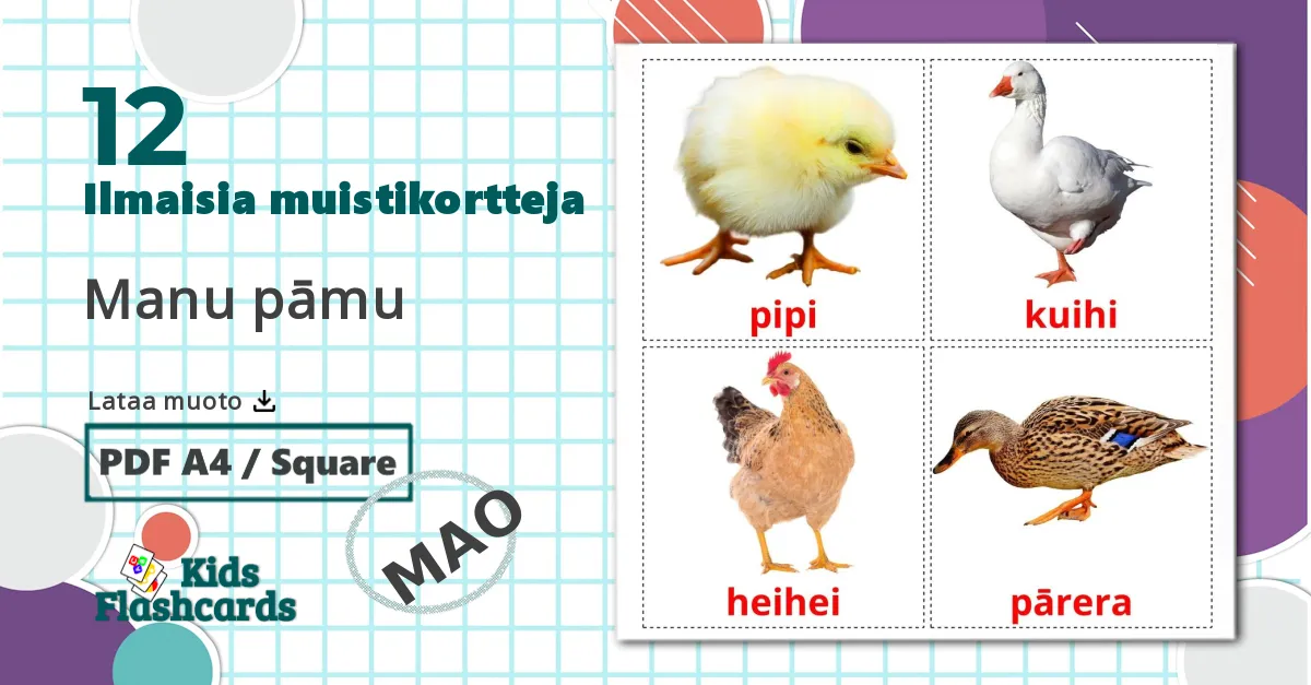 12 Manu pāmu lasten kuvakortit
