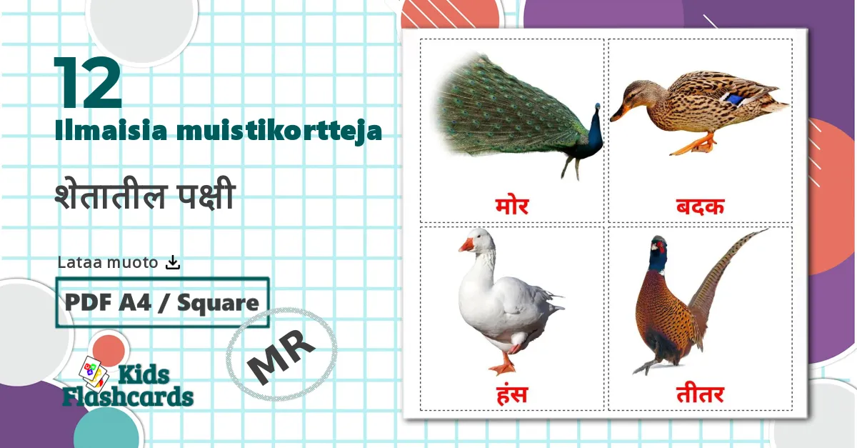 12 शेतातील पक्षी lasten kuvakortit