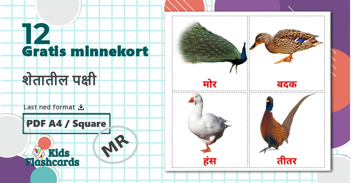 12 शेतातील पक्षी bildekort
