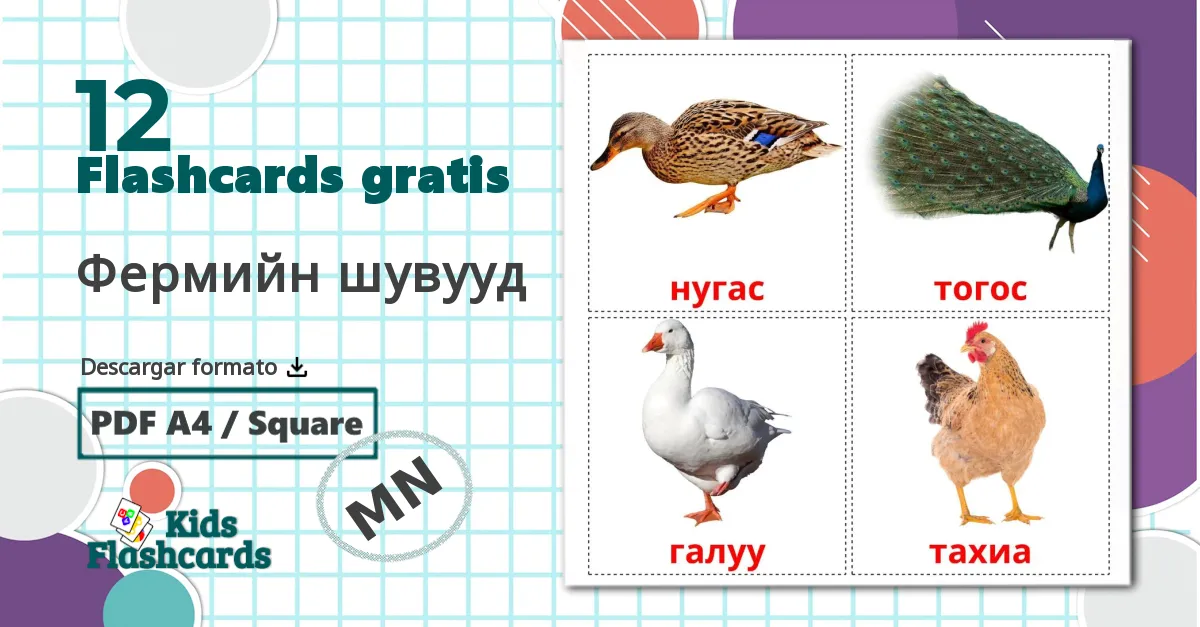 12 tarjetas didacticas de Aves de granja