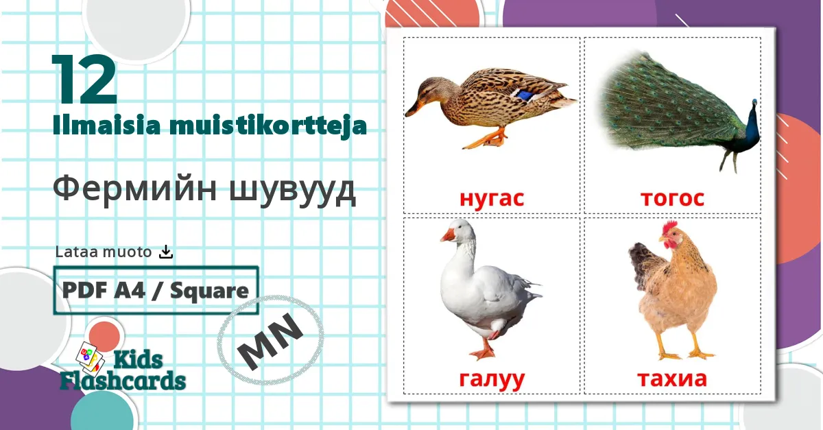 12 Фермийн шувууд lasten kuvakortit