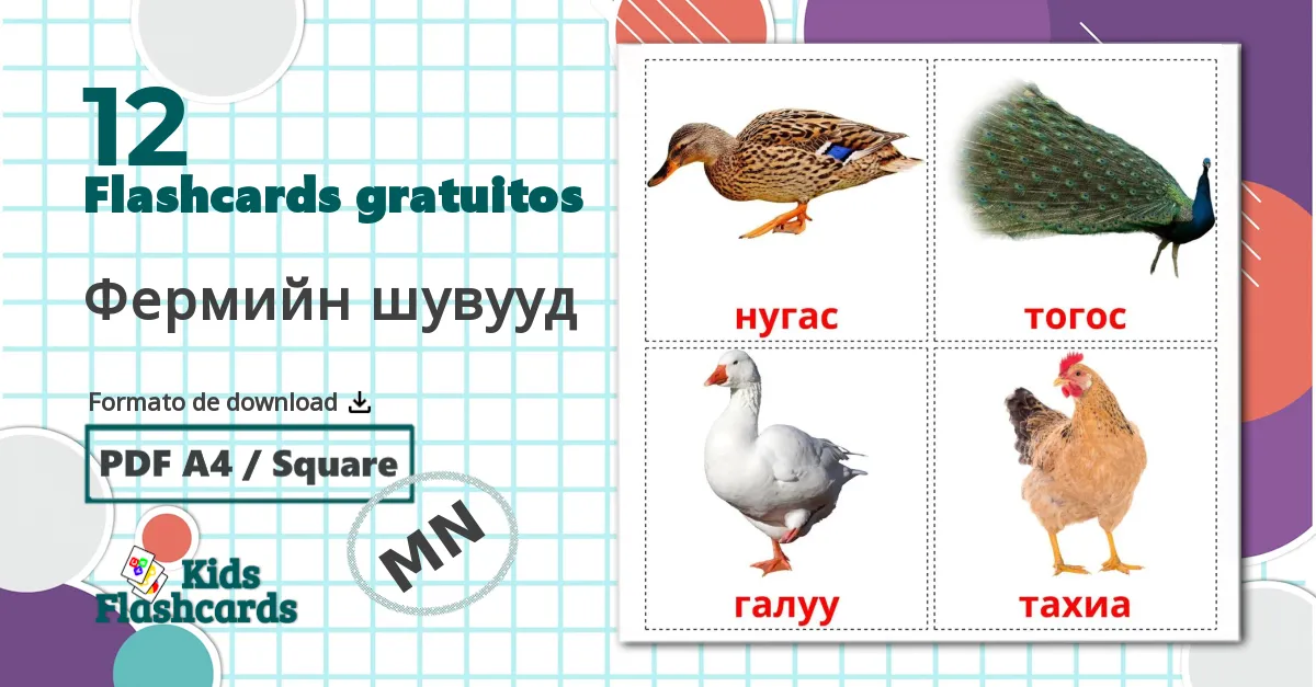 12 Flashcards de Aves da Quinta