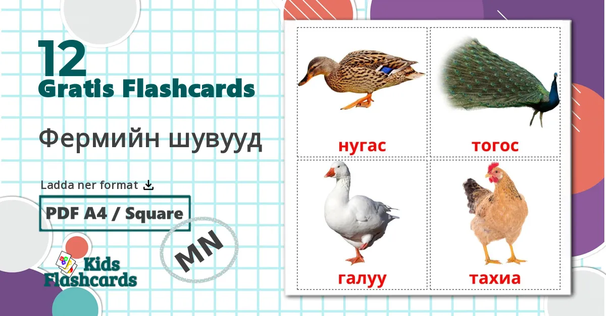 12 Фермийн шувууд bildkort för barn