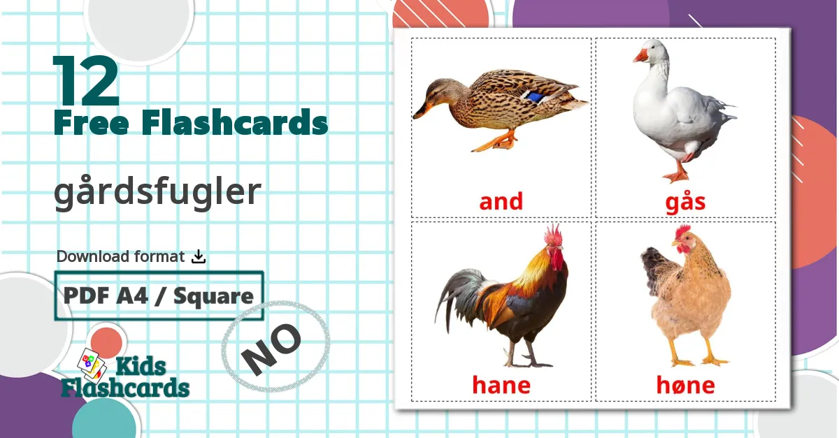 12 gårdsfugler flashcards