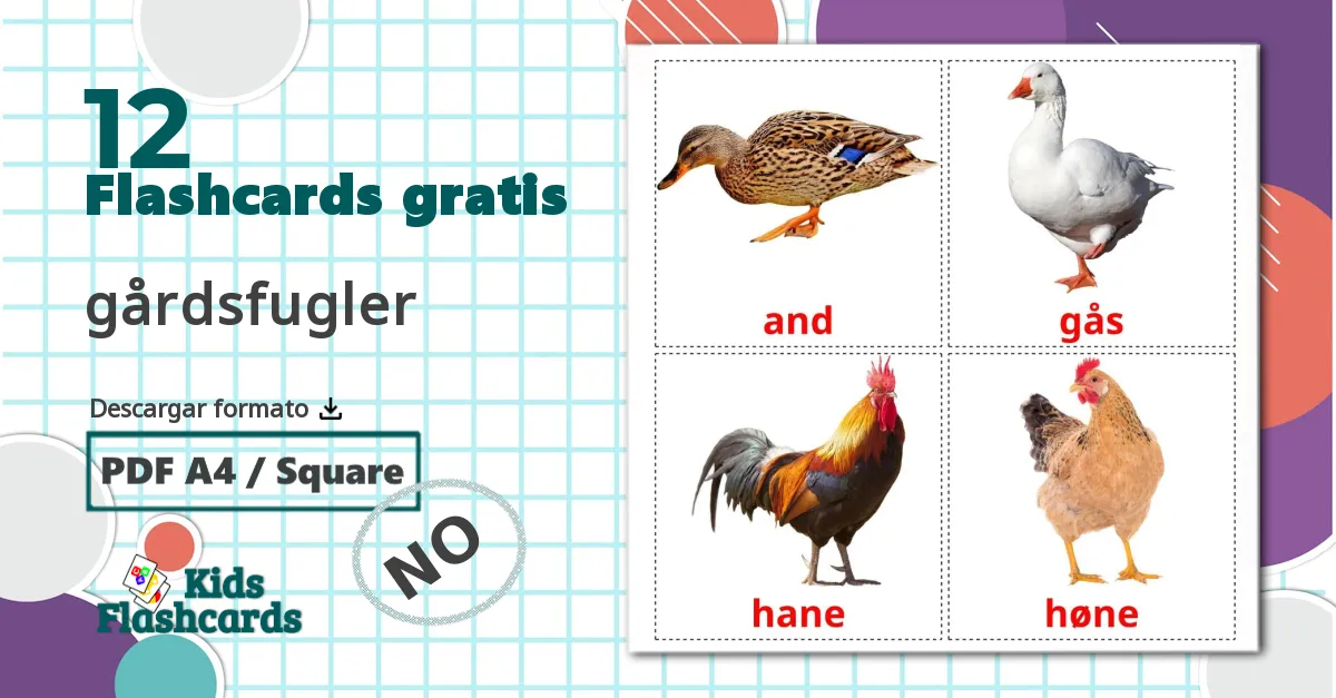 12 tarjetas didacticas de gårdsfugler