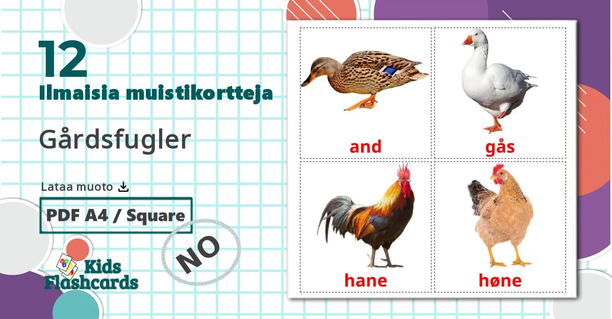 12 Gårdsfugler lasten kuvakortit