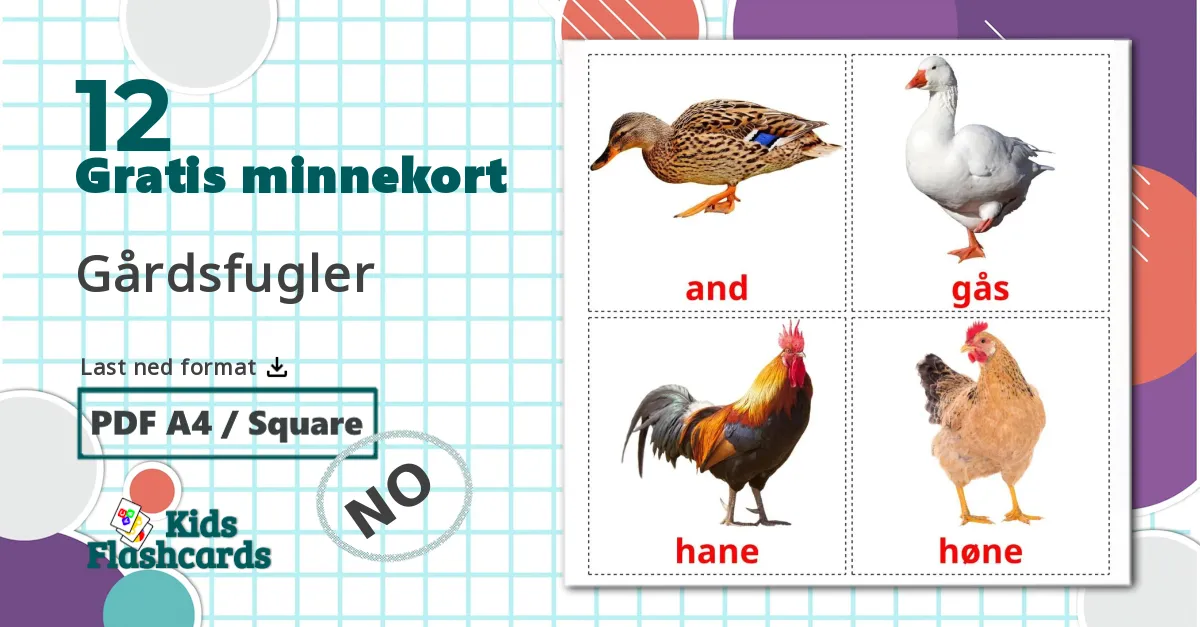 12 Gårdsfugler bildekort