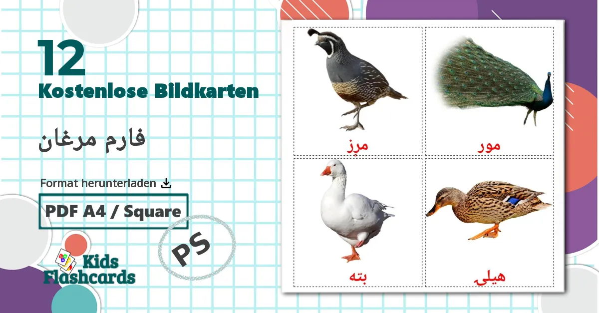 12 Bildkarten für Bauernhof Vögel